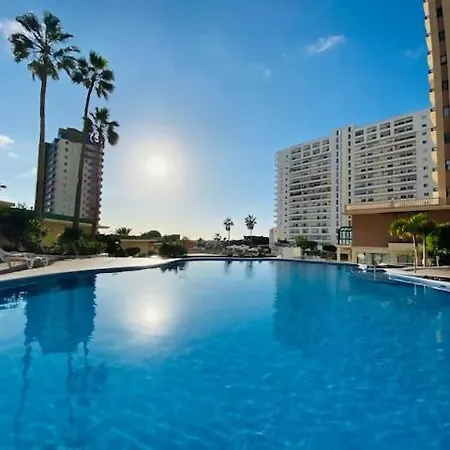 Gold Sunset * أذيخي