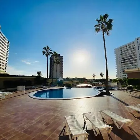 Gold Sunset أذيخي