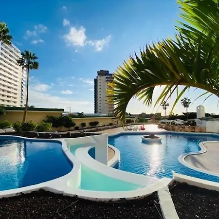 Gold Sunset * أذيخي